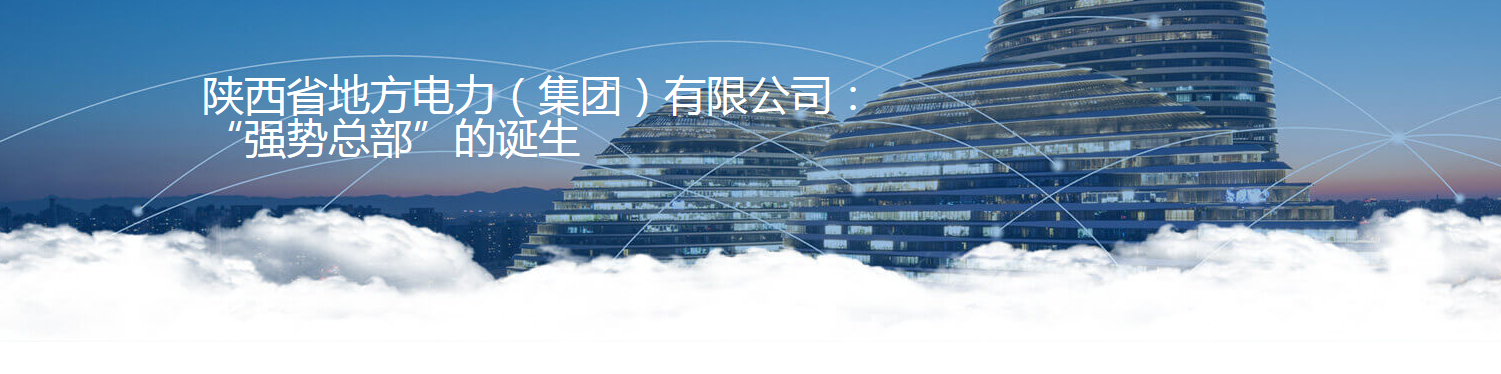 1电力工程陕西省地方电力（集团）有限公司.png